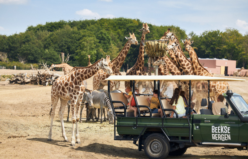 safaripark beekse bergen 